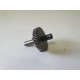 ALTERNATORE GENERATORE CORRENTE TRIUMPH 955 1998 2001