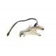 PEDANA POSTERIORE DESTRA RIUMPH STREET TRIPLE 675 2007 2008 2009 2012