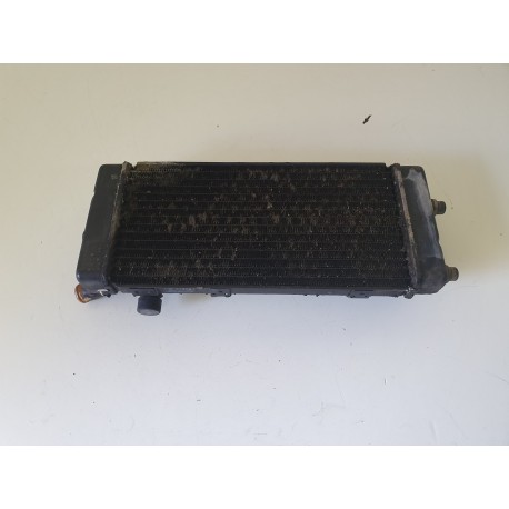 RADIATORE ACQUA PEOPLE KYMCO 250 S 2006 2007 2008