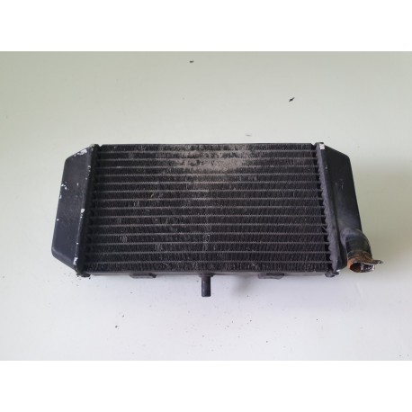 RADIATORE ACQUA YAMAHA MAJESTY 400 2006 06