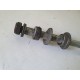 FORCELLONE RUOTA POSTERIORE HONDA HORNET 600 2003 2004 03 04