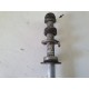 FORCELLONE RUOTA POSTERIORE HONDA HORNET 600 2003 2004 03 04