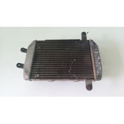 RADIATORE ACQUA SUZUKI BURGMAN 400 2003