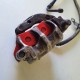PINZA FRENO TUBO POSTERIORE YAMAHA XC 300 2005 2006