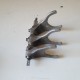 FORCHETTE CAMBIO YAMAHA FZ6 600 2004 04 2005 05