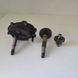CARTER RUOTA INGRNAGGI POSTERIORE SUZUKI BURGMAN AN 400 2007