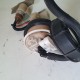 POMPA CARBURANTE BENZINA PIAGGIO MP3 300 TUORING LT 2011 2013