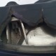 FANALE FARO ANTERIORE HONDA CBR 600 F DA RIPARARE