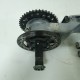 FORCELLONE DISCO POSTERIORE TRIUMPH T509 955 SPEED TRIPLE 1996 1999