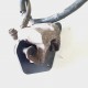 PINZA FRENO TUBO ANTERIORE KYMCO PEOPLE 125 150 2000 2003