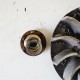 SEMIPULEGGIA MOBILE MOTORE KYMCO PEOPLE 125 150 2000 2003