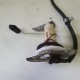 POMPA CARBURANTE BENZINA HONDA SH 300 2007 2008 2009