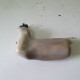 VASO ESPANSIVO SERBAOTIO HONDA SH 150 2001 2004
