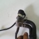 VALVOLA CONTROLLO RECUPERO RIFIUTI HONDA HORNET 600 2005 2006