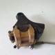 PINZA SUPPORTO FRENO POSTERIORE TRIUMPH STREET TRIPLE R 675 2009 2012