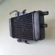 RADIATORE ACQUA ELETTROVENTOLA HONDA CHIOCCIOLA 125 150 200 2006