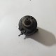 MOTORINO AVVIAMENTO HONDA CHIOCCIOLA 125 150 2006