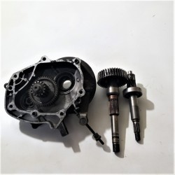 CARTER INGRANAGGI RUOTA POSTERIORE HONDA CHIOCCIOLA 125 150 2006