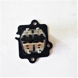 PACCO LAMELLARE APRILIA SCARABEO DITECH 50 IE 2001 2003 2004