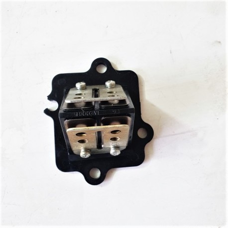PACCO LAMELLARE APRILIA SCARABEO DITECH 50 IE 2001 2003 2004
