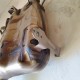 TERMINALE MARMITTA SUZUKI GSR 600 2006 2008 2010