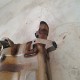 TERMINALE MARMITTA SUZUKI GSR 600 2006 2008 2010