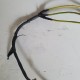 STATORE GENERATORE MAGNETE HONDA SH 125 i 2010 2011