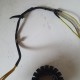 STATORE GENERATORE MAGNETE HONDA SH 125 i 2010 2011
