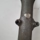 FORCELLA FORCINA STELI SUZUKI GS 400 1977 1979 1980 CON RUGGINE