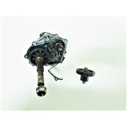 CARTER INGRANAGGI RUOTA POSTERIORE KYMCO PEOPLE GT 300 2010 2011 2013
