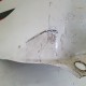 SERBATOIO CARBURANTE BENZINA HONDA CBR 600 F SPORT 2002 2005 2006