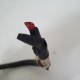 MOTORINO AVVIAMENTO PIAGGIO BEVERLY 350 2012 