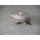 FANALE FARO ANTERIORE PIAGGIO VESPA ET2 50 4T 2001