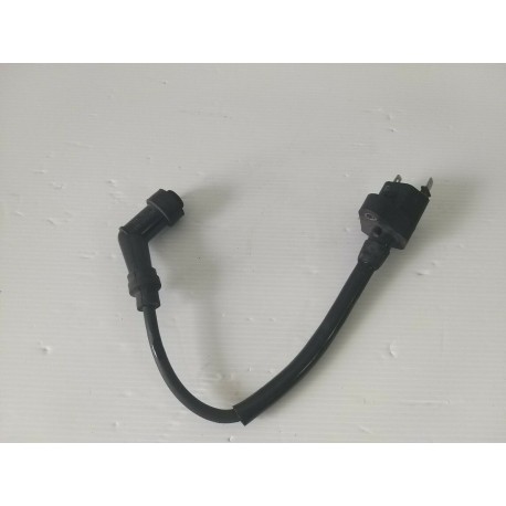 BOBINA ACCENSIONE AVVIAMENTO HONDA SPAZIO CN 250 1991 1992 1999