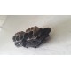 CONVOGLIATORE ARIA HONDA HORNET 600 2005