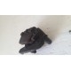 PINZA FRENO ANTERIORE APRILIA LEONARDO 250 1999