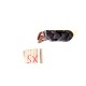 CARENA PARASPRUZZI POSTERIORE YAMAHA XT 660 X 2009 2013
