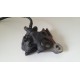 PINZA FRENO TUBO POSTERIORE HONDA CBR 600 2001 2003