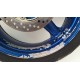 CERCHIO RUOTA POSTERIORE PIAGGIO BEVERLY 125 300 2014 2015