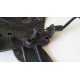 CARENA SOTTOSELLA KAWASAKI ZR 7 750 2001 2002